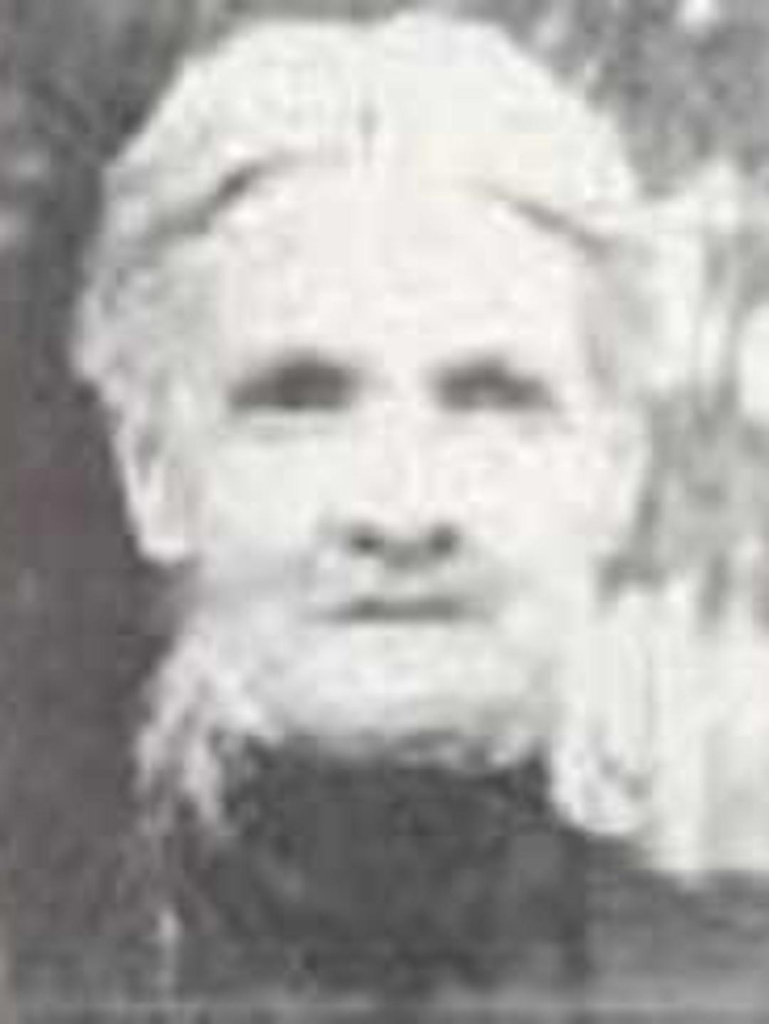 Mary C. Condie (1845 - 1922) Profile